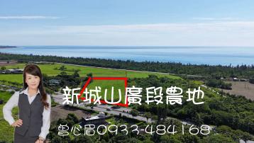 花蓮新城 · 台九線山廣段農地 花蓮透天精選