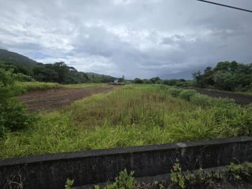 專任｜花蓮壽豐月眉 臨路美農地  花蓮透天買屋