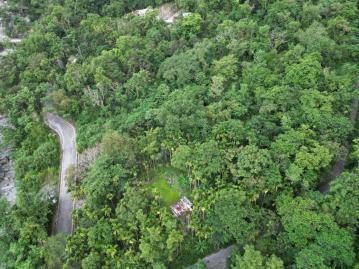 花蓮鯉魚潭台九丙旁山景原保農地 花蓮透天買屋