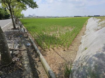 新港正微笑大道農地 太保市地重劃