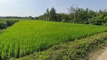 農地|後龍西濱便宜種菜田~ 湖口土地仲介