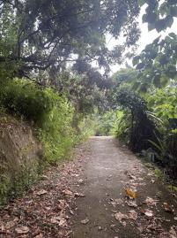 台中置產達人｜大里一甲地眺望百萬夜景山破地退休可蓋農舍