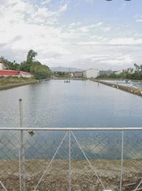 屏東里港臨路(泰國蝦養殖場)  三民區房地產