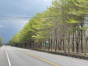 (專約)屏東潮州鄉村區大地坪臨路建地