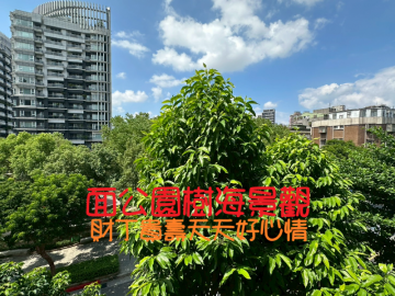 正松信路/面公園樹海/近捷運方正美寓