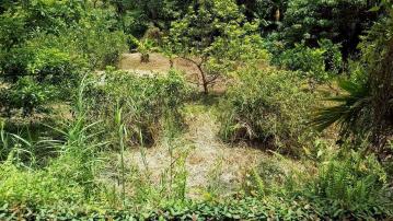 竹崎美農地 嘉義別墅廠房