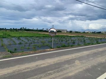 新豐方正美農地節稅投資自用皆適宜B