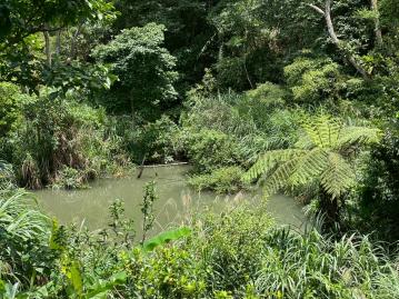 燥樹排世外桃源渡假美地