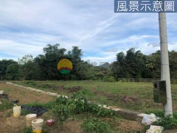 橫山鄉807坪農牧用地 地勢方正平坦