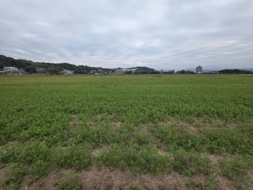 芎林金獅段千坪黃金農牧用地首選