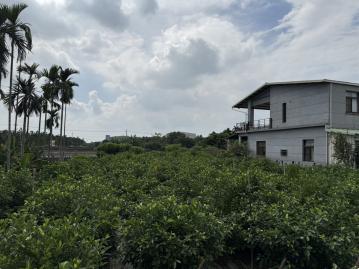 竹田休閒小農地(竹386)
