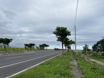 東華大橋旁台11丙醒目農地原保地大面積農作首選 吉安房仲推薦