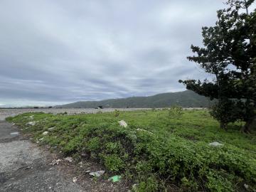 東華大橋旁台11丙線醒目農地原住民保留地A 吉安房仲推薦