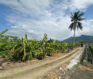 桃園廠房精選  旗山圓潭｜台29線大面寬農地