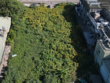 桃園廠房精選 林口500坪工業地稀有釋出