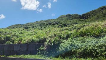 北海岸❤️金山綠境農地 三重買房首選