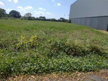 官田丁建工業地出售 廠房土地顧問