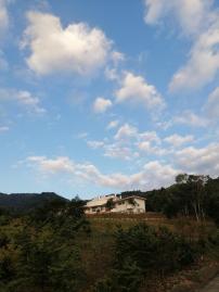 平遠遼闊背山面洋莊園(N1119)  台東找房找地