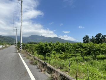 利家方正美農地B(N6114) 台東找房找地