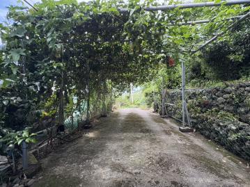 180度視野聞鳴廬合法農舍(N1032) 台東找房找地