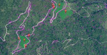 紅葉檳榔園原保農地(N6016) 台東找房找地