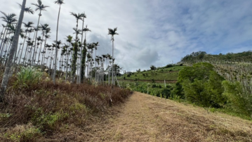 樂山超美景觀6分農地(N6052) 台東找房找地