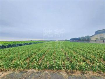 彰化透天推薦 溪州大面寬重劃農地