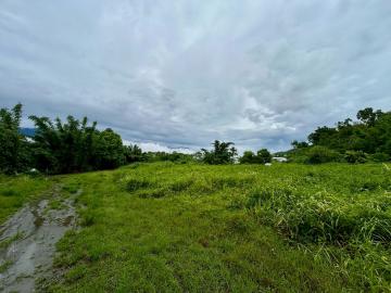 台東池上大坡池旁景觀農地+丙建地 台南買屋專家