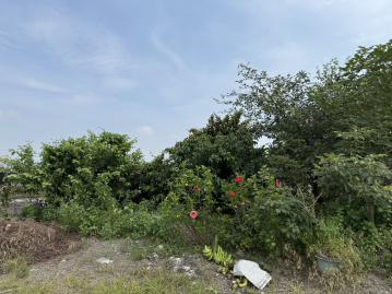 竹田養殖方正農地(竹390)