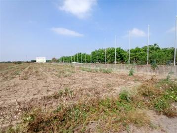 近麻豆交流道計畫區 6米柏油路 都內農地