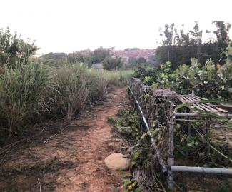 永慶同星｜龍潭大池田園休閒美農地