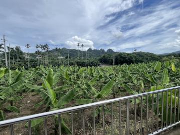 草屯房產買賣 平林國小旁聚寶四面路農地 