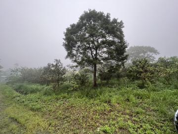 新竹房產推薦 大溪風景區農地 合法資材室 有水有電