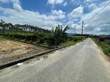 國6東草屯交流道旁46米大面寬雙面臨路方正美農地 南投土地女王