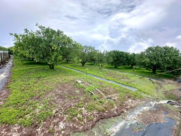 下營近快速道路前後路文旦園 南科土地達人