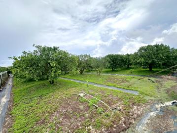 下營近快速道路有水有電文旦園 南科土地達人