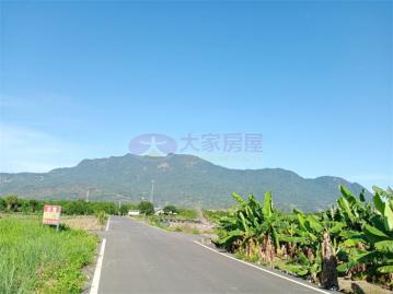 心住家韋傑 鹿野雙面臨路平坦農地
