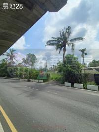 南州高速橋下美農地 琉球房地女神