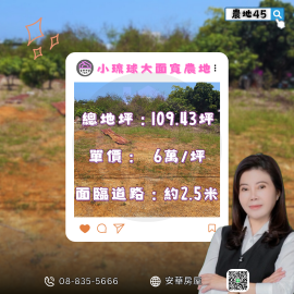 小琉球大面寬農地 琉球房地女神