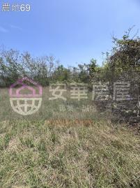 小琉球天龍寺後農地 琉球房地女神