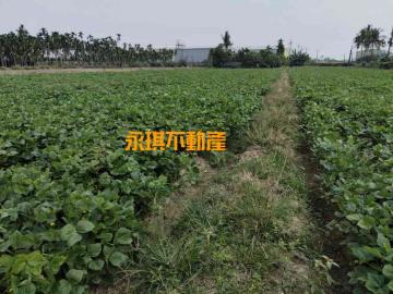 高雄屏東房屋土地 屏東市大地坪農地 高屏成家找展哥 