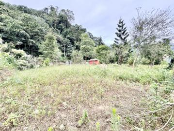 南庄大地坪臨路美農地 竹南買房賣屋