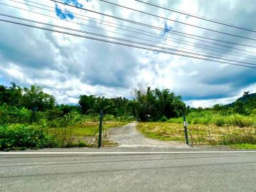 台中房仲阿技  魚池丙建+農地