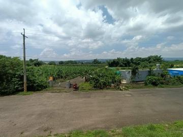 台中房仲阿技  南投市4甲農地