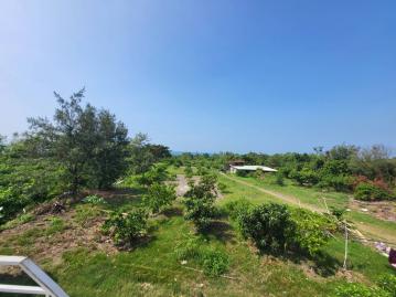 背山面海漂亮大農地 鳳山阿修