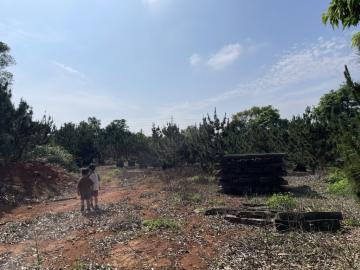 苗栗銅鑼農加建~桃園土地銷售
