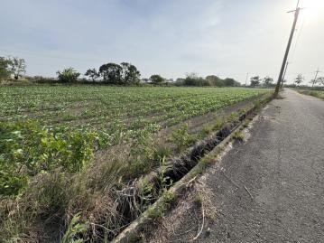鹽水歡雅國小旁大面寬美農地