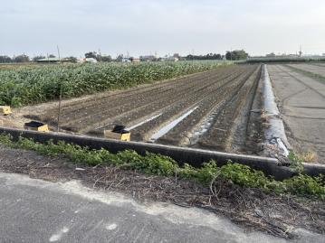 將軍漚汪小資入手優質悠閒農地