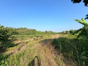 台南新市買房 山上石子崎有水電農地 