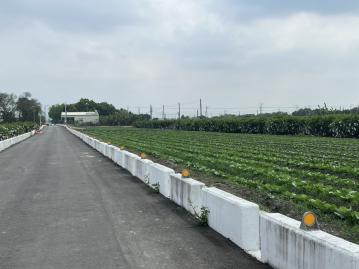 溪州下壩臨路農地 彰化房地顧問